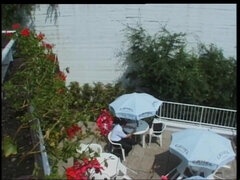 Lesbians Also Like Cock