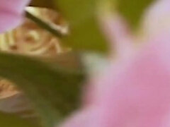 Anaali, Isot tissit, Suihinotto, Spermashotti, Alusvaatteet, Äiti jota haluaisin panna, Pillu, Sukkahousu