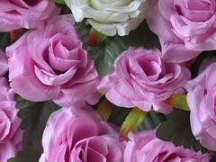 18, Badrum, Pojkvän, Hårig, Indisk, Mogen, Toalett