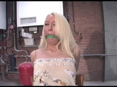 Amatør, Blond, Hunn, Spøker, Bundet