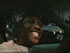 Amatéri, Mačiatko, Veľké péro, Čierne, Kuřba, Striekanie semena, Ebenové, Hardcore