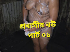 I Fucked the Expatriate's Wife.part 01