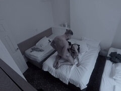 Amerykański, Duży kutas, Obciąganie, Brunetka, Tatuaż, Cycki