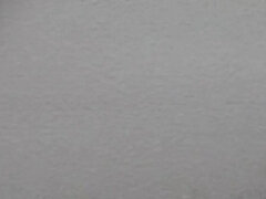 Azijci, Japonka, V javnosti, Pod krilom, Voajer