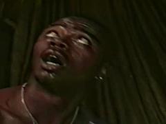 Ασιάτης, Πίπα, Σκληρό, Διαφυλετικό