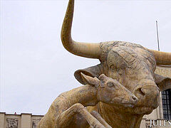 Analno, Rit na usta, Velika rit, Velik kurac, Fafanje, Obrazno, Latinka, Spodnje perilo