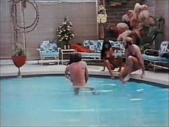 Pik sutte, Brunette, Sædskud, Firkanter, Sjove, Behåret, Brystvorter, Vintage