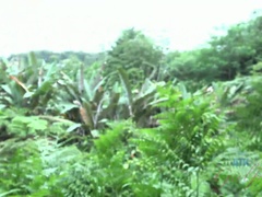 フェラチオ, 爸, 露出狂, 彼女, オイル, オーガズム, 公共, 濡れ