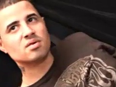 Anaali, Iso kulli, Musta, Tumma, Homo