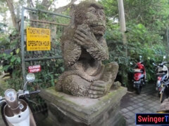 Monkey business and couple sex at home