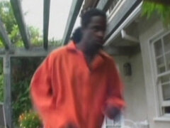 Piękne grube kobiety, Obciąganie, Kompilacja, Wytrysk, Francuski, Wielorasowy, Bielizna, Naturalne cycki