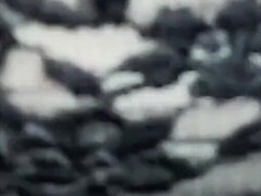 Ζευγάρι, Φετιχ, Τακούνια, Σπιτικό, Δαντέλα, Νάιλον, Καλσόν, Τεράστιος