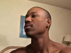 Amateur, Belle grosse femme bgf, Gros seins, Sucer une bite, Noir ébène, Hard, Léchez, Nénés