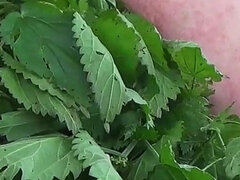 素人, 緊縛, デカ尻, 巨大クリトリス, フェティッシュ, 毛深い, 一人, スパンキング