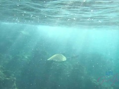 Strand, Grote mammen, Badpak, Blond, Vriendin, Spijkerbroeken, Naakt, Openbaar