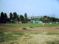 깊은목구멍, 음경, 머리카락이 많은, 빈티지