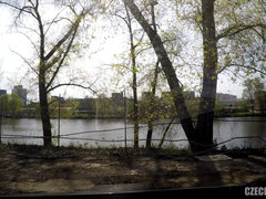 Красивые, Минет, Брюнетки, Семяизвержение, Чешки