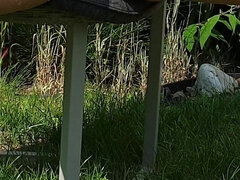 Vlasaté, Milf žcbp, Venku, Sólo