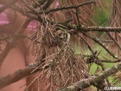 デカパイ, 茶髪の, クラブ, オナニー, 放尿, 剃毛, 一人, おもちゃ