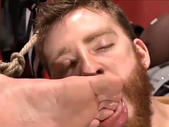 Sadomasochismus, Blasen, Spassig, Schwul, Gruppe, Hardcore, Masturbation, Muskel