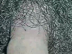 Amatoriale, Capellona, Indiana