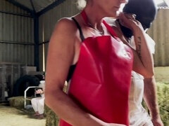 Sadomasoquismo, Dominacion femenina, Humillación