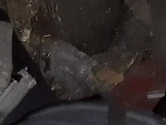 Amador amadora, Morena, Casal, Fêmea, Masturbação, Orgasmo, Xoxota, Solo chão