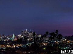 Kont, Slaapkamer, Bruinharig, Hondjeshouding, Likken, Rijden, Geschoren, Spuiten