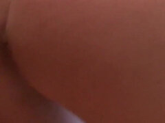 Lepotice, Britanke, Rjavolaska, Obrazno