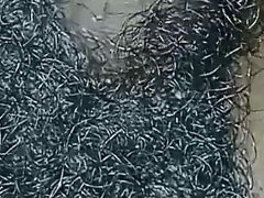 Amador amadora, Peludoa, Indianoa