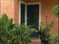 18, Plaža, Blondinka, Fafanje, Kompilacije, Jahanje, Najstnice, Retro