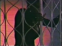 Grosse titten, Schwarz, Schwarz, Lingerie, Pornostars, Erotischer film, Titten, Vintage