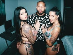 Hatalmas hátsó, Monumentális dákó, Tekintélyes didik, Cumizás, Kutya póz, Fajok közötti, Begyek