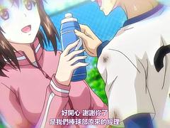 Tekintélyes didik, Krémes süti, Kézimunka, Begyek