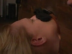 본디지 훈육 사디즘 마소치슴, 지배, 노예