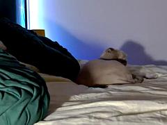 Amatør, Babe, Brunette, Latina, Tynn, Alene, Pupper, Webkamera