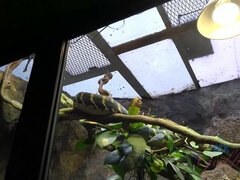 After London, you get a BJ in Los Angeles