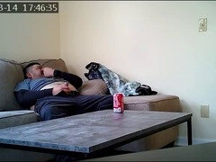 Américain, Attrapée, Rondelette, Grosse, Homosexuelle