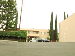 Grosse titten, Blasen, Braunhaarige, Spermaladung, Hardcore, Hd, Milf, Pornostars