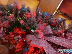 Tekintélyes didik, Ondó fröcskölés, Pénisz, Kutya póz, Arcra élvezés, Kőkemény, Sarokkal való, Játékszerek