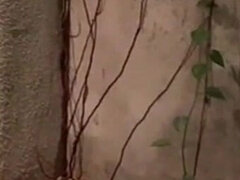 Amatéri, Veľký zadok, Kuřba, Latinskej, Bazén