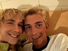 Gay