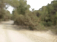 Incredible harlots lesbian xxx crazy scene