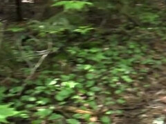 Jungle Sex in Tehran