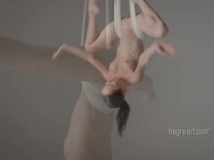 Zwart, Flexibiel, Tepels, Klein, Geschoren, Tieten likken