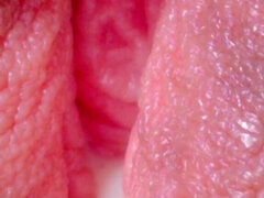 Femelle, Béant, Masturbation, Chatte, Solo