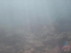 Amatör, Strand, Bikini, Blottande, Kysser, Utomhus, Fitta, Tuttar