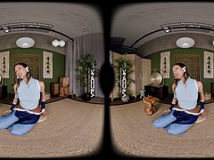 Tredimensionel, Babe, Pik sutte, Brunette, Hårdt, Realitet