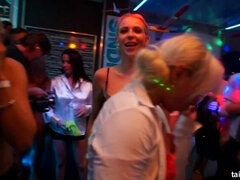 Pompino, Di colore, Hardcore, Interrazziale, Lesbica, Orgia, Pornostar, Raso