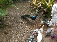 Kristen gets a good load of cum on her toes